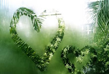 Meta Stock Price: What the Data Reveals