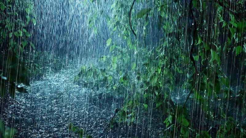 Rain: Reimagining Our Relationship with the Sky